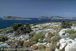 National Marine Park of Alonissos - Northern Sporades
