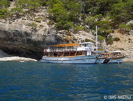 Tour boats around a seal cave