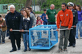 Artemis in transport cage