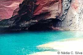 Monk seal habitat