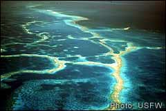 French Frigate Shoals
