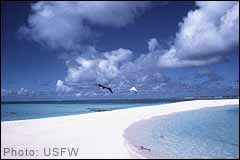 Sand bar