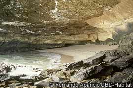 Soriguer cave