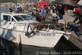 Deniz Koruma 01