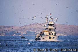 turkish trawler