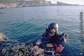 survey in the Foça Specially Protected Area