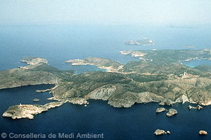 South coast of Cabrera