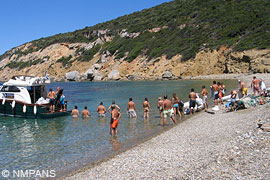 Beach cleaning in the NMPANS