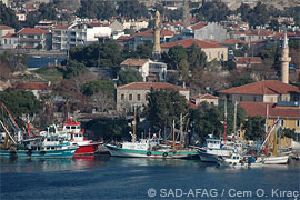 Purse-seiners in Büyük Liman port in Foça