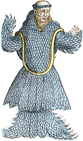 Belon’s Sea Monk