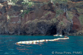 exercise to train an oil spill response