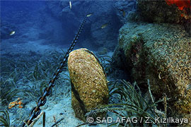 Anchor line in posidonia and near fan mussel